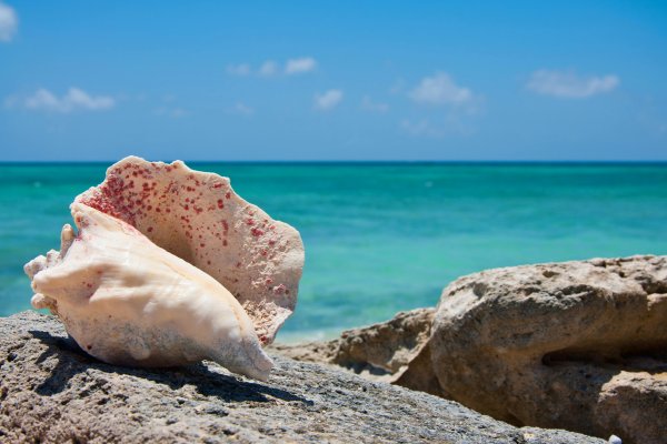 Visiting Bimini: The Fast Caribbean-Style Escape from Florida